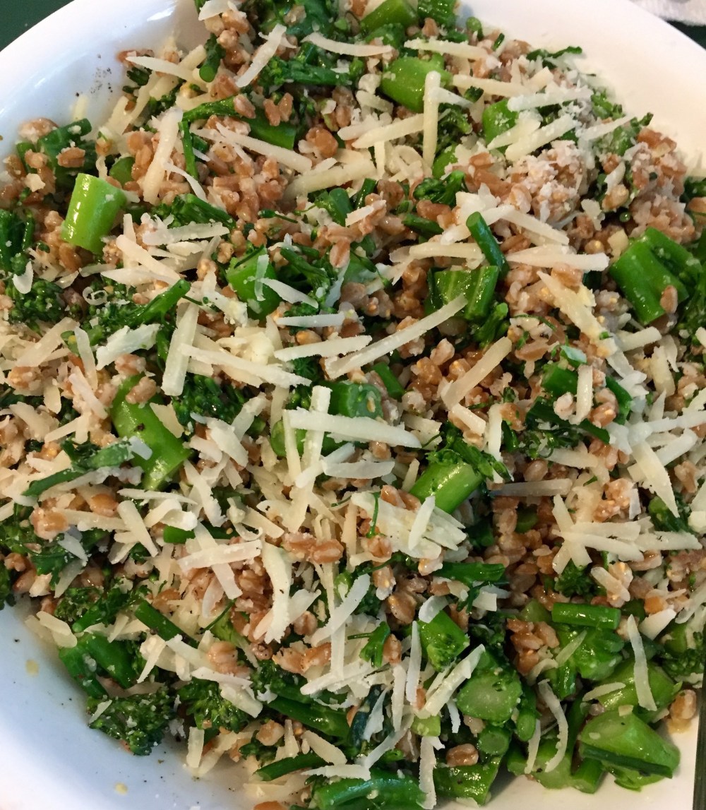 Broccolini Farro Salad
