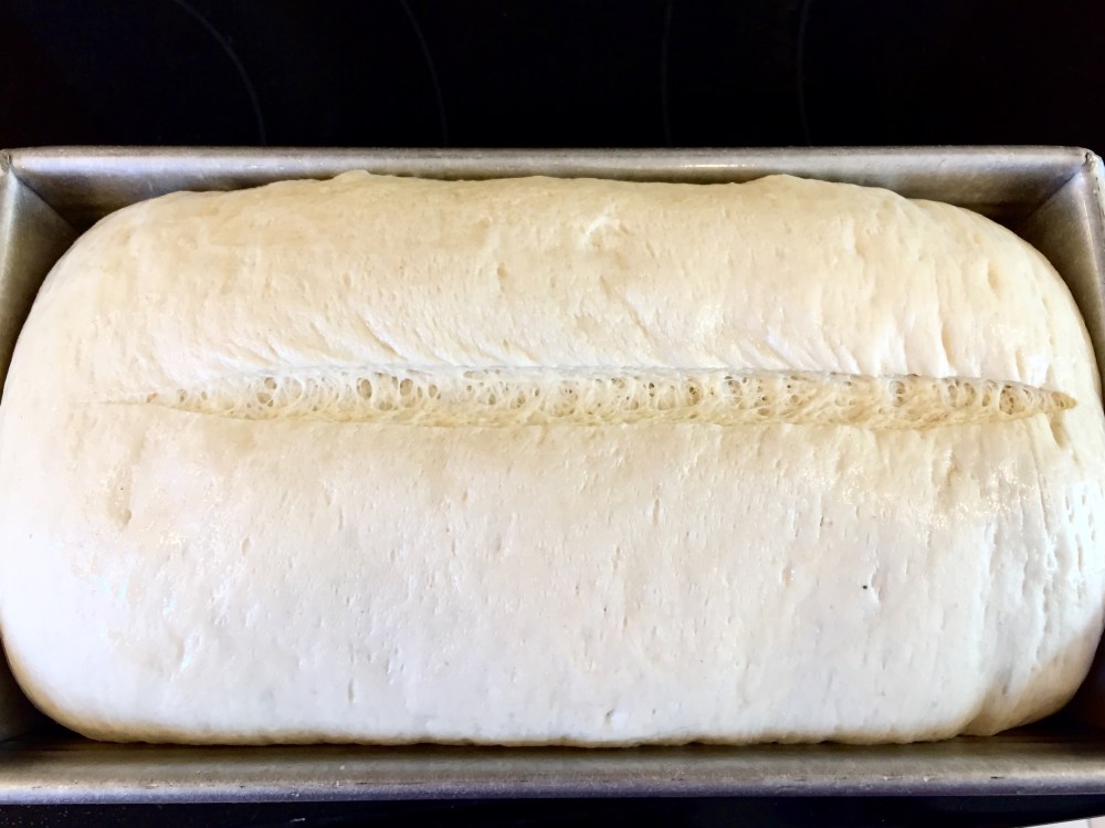 O rolled slashed.jpg