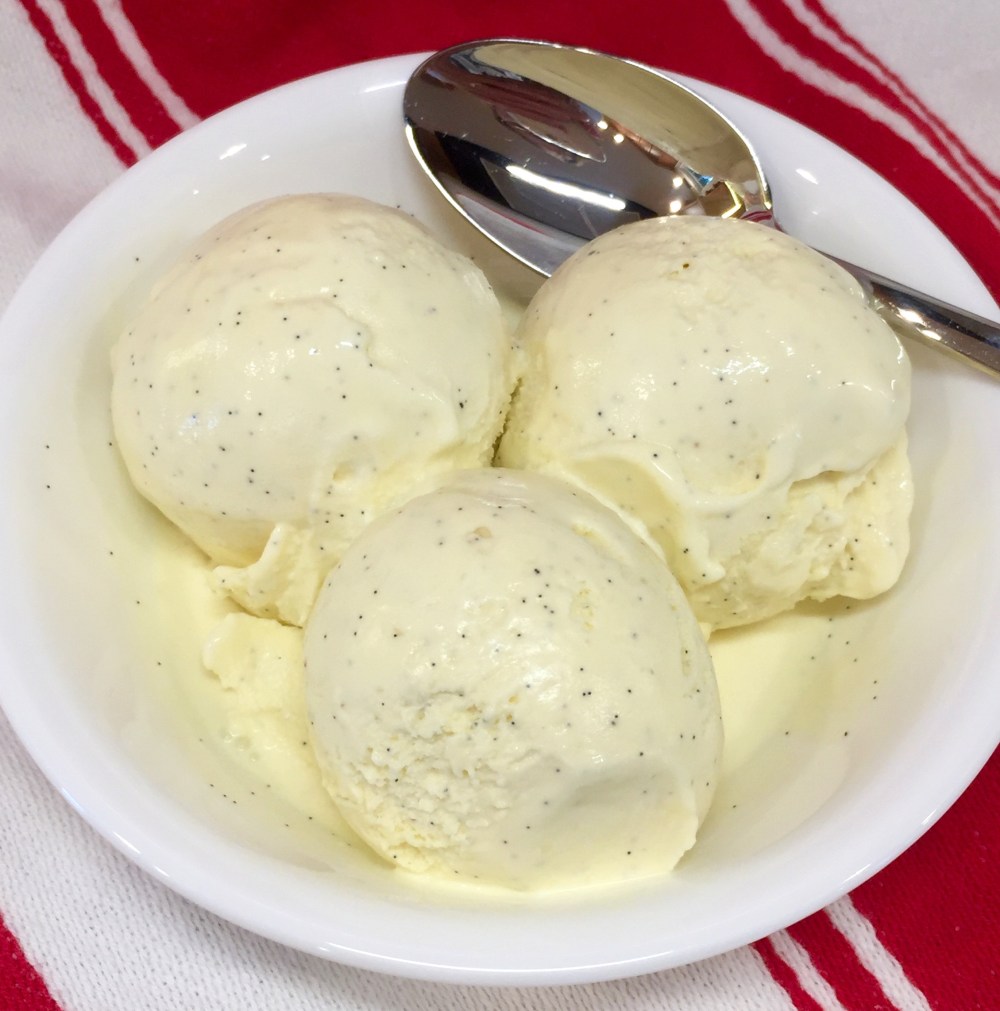 Vanilla Bean Frozen Custard.jpg