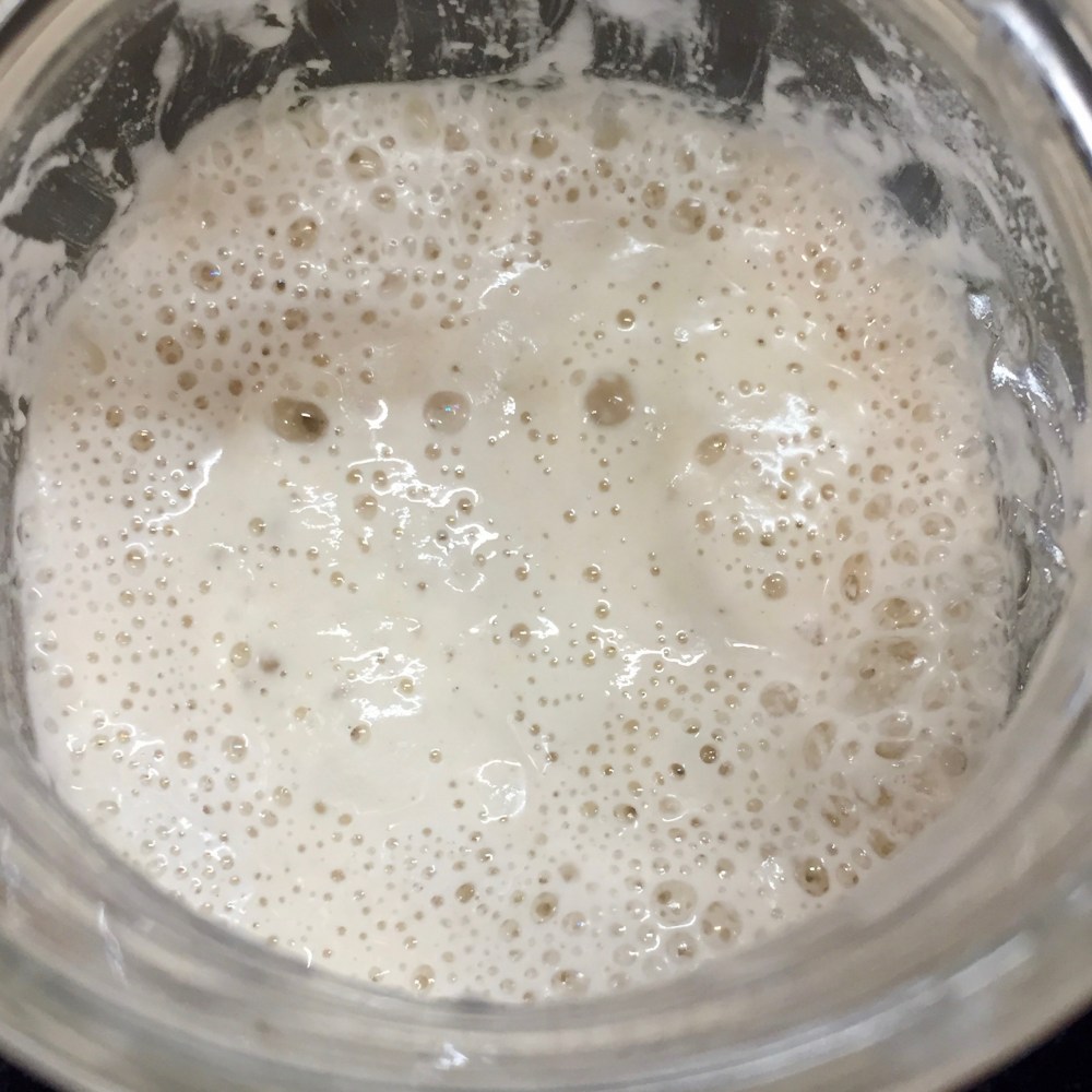 Regenerated Sourdough Starter